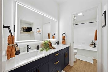 A bathroom with a white sink and a mirror above it.